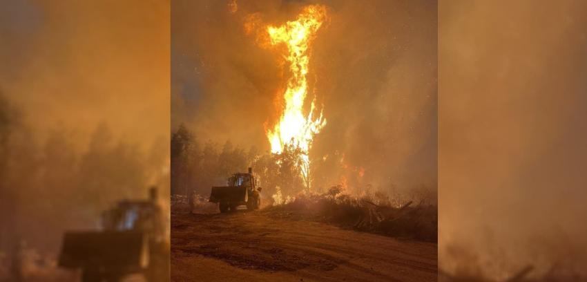 Gobierno decreta Estado de Excepción Constitucional de Catástrofe en Ñuble por incendios forestales