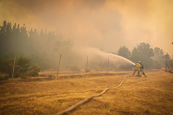 Solicitan evacuar sectores de la comuna de Tomé por incendios forestales