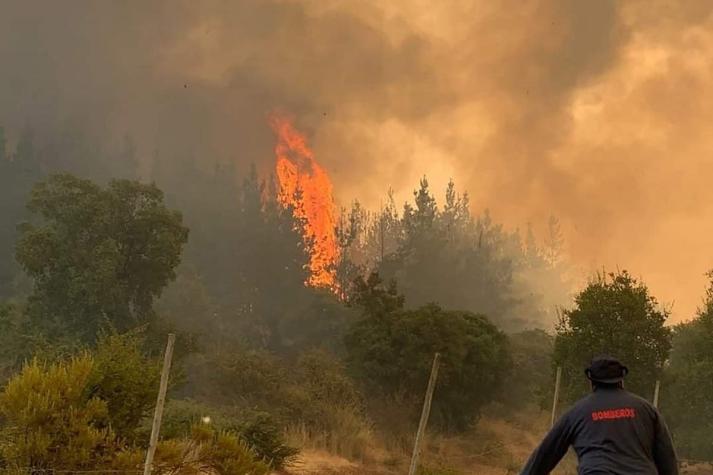 Gobierno confirma 69 viviendas alcanzadas por incendios forestales en la región de Ñuble