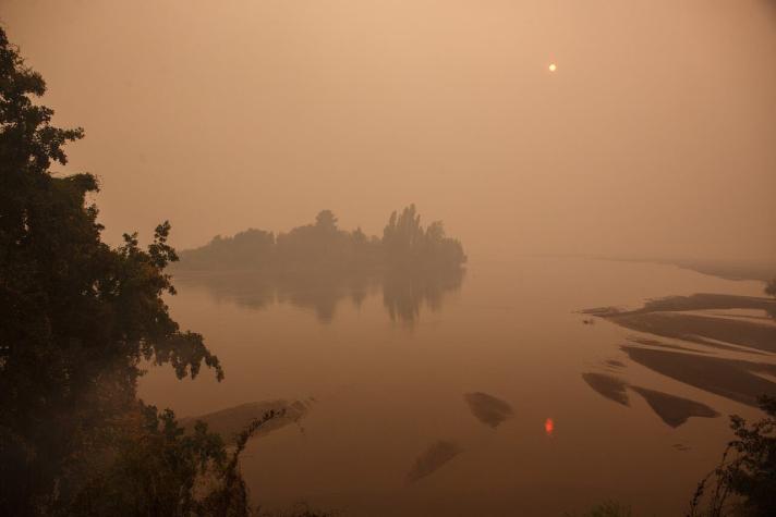 Senapred reporta 80 incendios forestales activos: 71 están entre Ñuble y La Araucanía