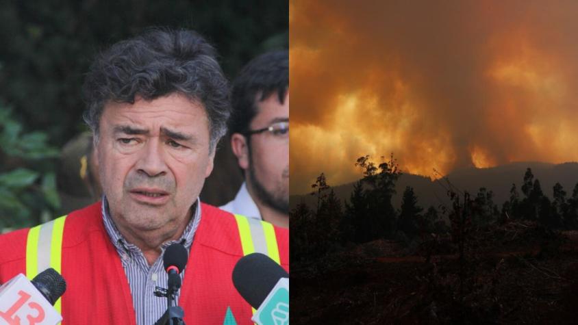 Ministro de Agricultura dice que algunos alcaldes "no han hecho la pega" de limpiar ante incendios