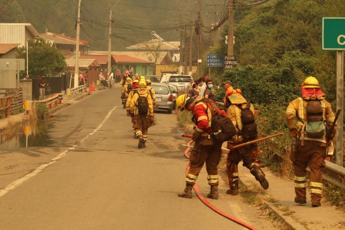 Incendios forestales: Senapred ordena evacuar sector El Mirador de Tomé