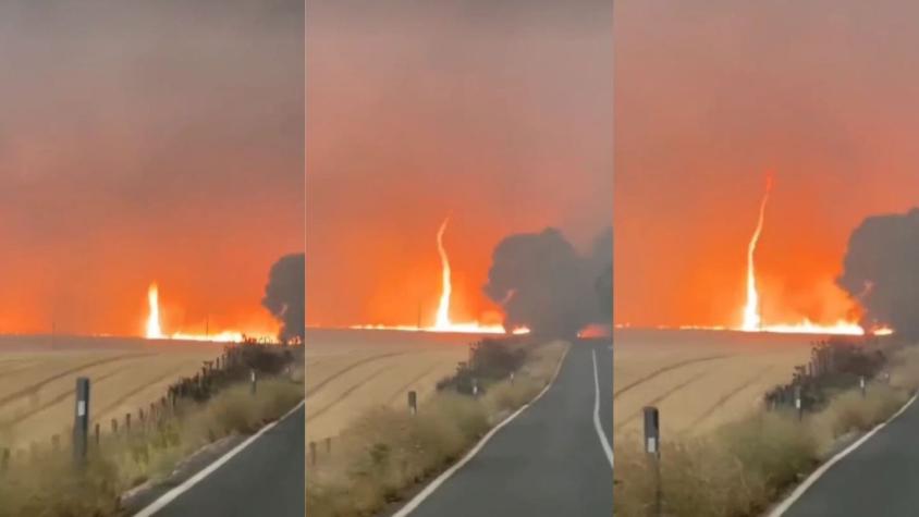 [VIDEO] Captan momento en que se forma un remolino de fuego en El Carmen por incendio forestal