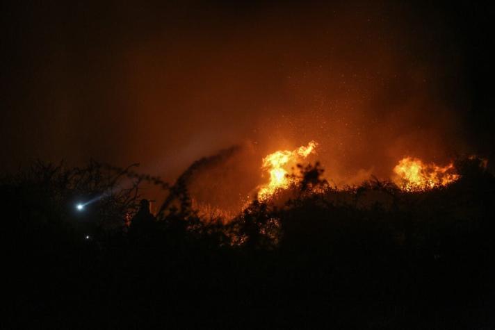 Carabineros detienen a presunto responsable de incendio forestal en Región de Ñuble