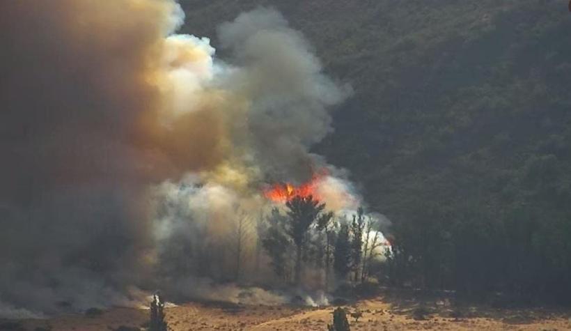 [VIDEO] Bomberos y Conaf combaten incendio forestal en Casablanca