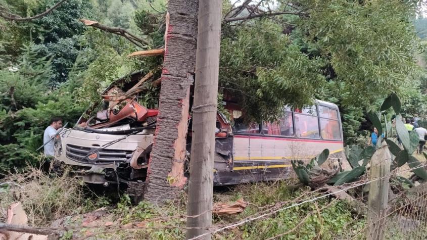 Accidente de bus en San Pedro de la Paz deja al menos 12 heridos