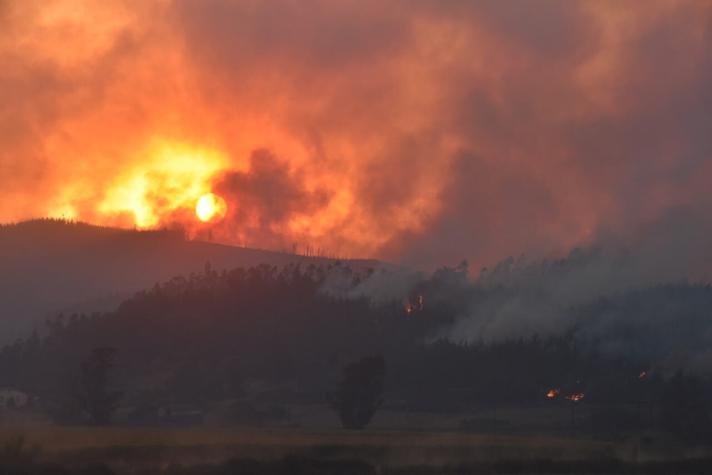 Senapred reporta 87 incendios forestales activos: El 50% está en La Araucanía