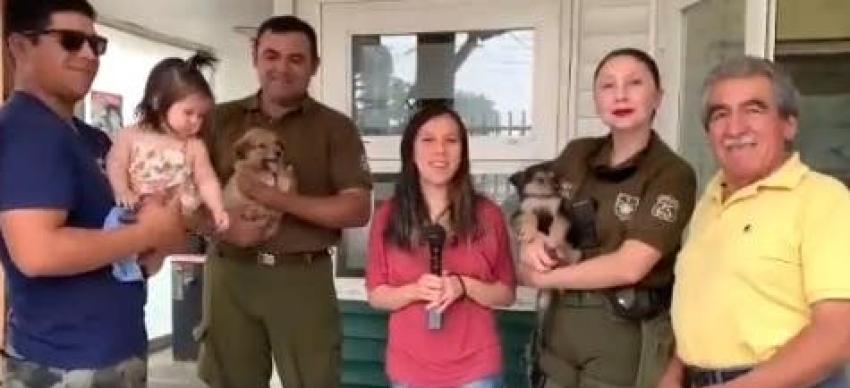 Incendios Forestales: Familia adopta a tres cachorritos rescatados por Carabineros en Quillón