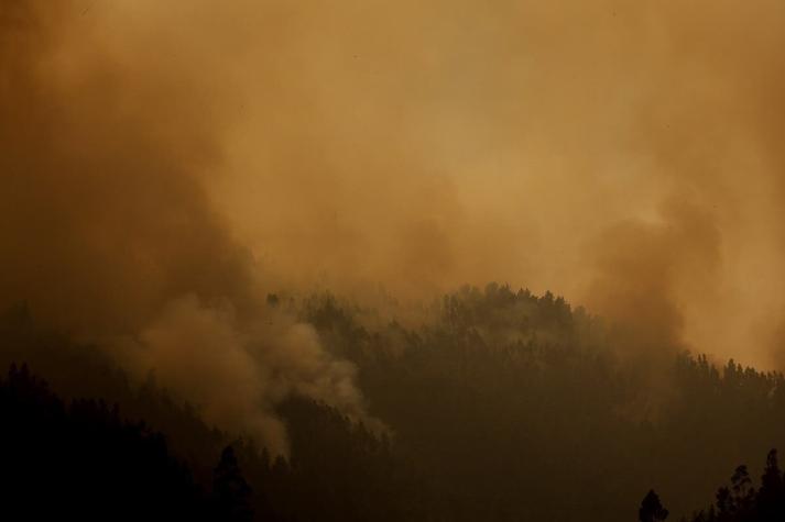 Solicitan evacuar sectores de la comuna de Quillón por incendios forestales