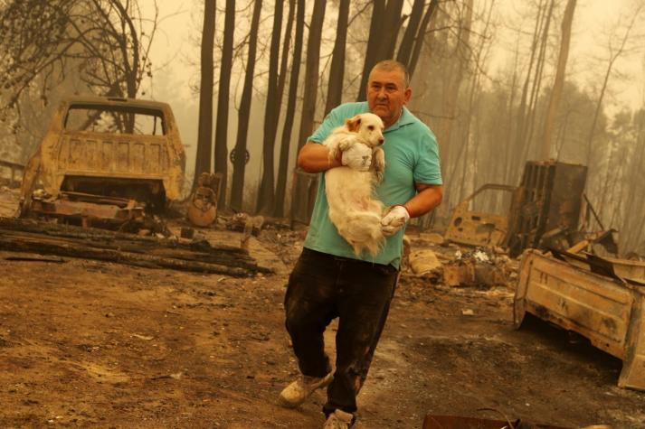 Portugal ofreció ayuda a Chile por incendios forestales: Esperan la respuesta del Gobierno