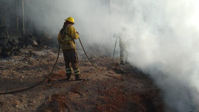 Incendios forestales: Lo que se sabe de la presunta intencionalidad en el origen del fuego