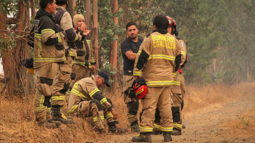 Permiso de circulación: Cómo contratar el SOAP y ayudar a Bomberos en medio de incendios forestales Permiso de circulación: Cómo contratar el SOAP y ayudar a Bomberos en medio de incendios forestales