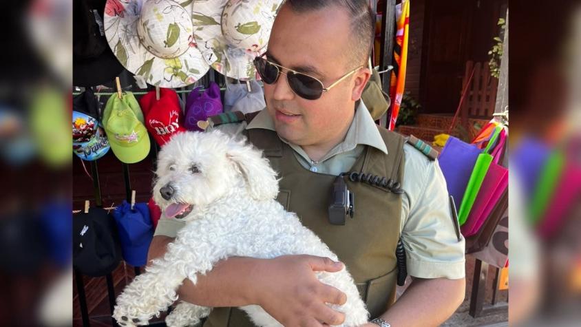 Carabineros rescata a perrita que permanecía encerrada en un auto: dueño fue detenido