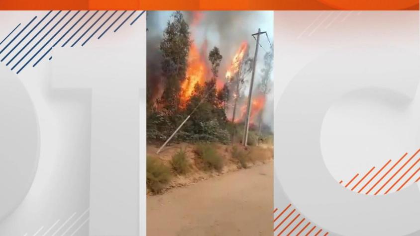[VIDEO] Los vecinos que combatieron solos los incendios en localidades rurales de La Araucanía
