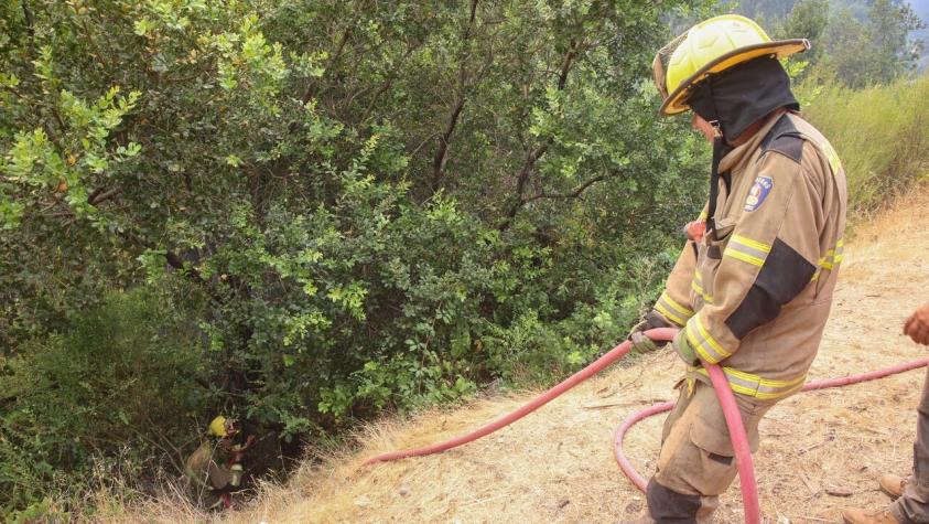Jefe de Defensa Nacional del Ñuble resuelve uso de cualquier tipo de agua para combatir incendios