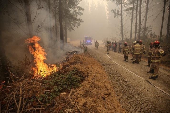 Senapred solicita evacuar sectores de la comuna de Quillón por incendio forestal