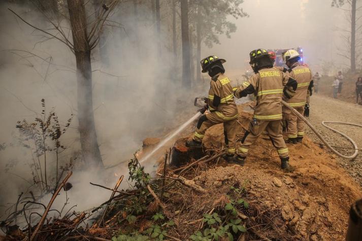 Decretan Alerta Roja para la comuna de Cauquenes, región del Maule, por incendio forestal