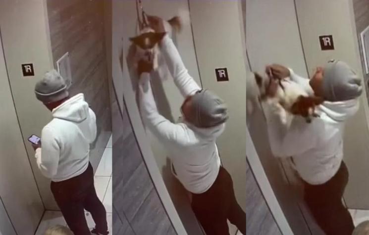 Dramáticos segundos: Perrito quedó colgando en ascensor y fue salvado gracias a rápida reacción