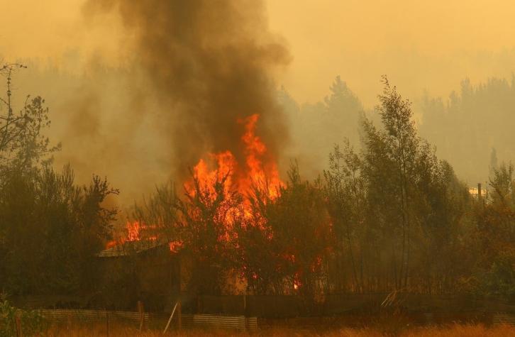 Decretan Alerta Roja para la comuna de Río Claro, región del Maule, por incendio forestal
