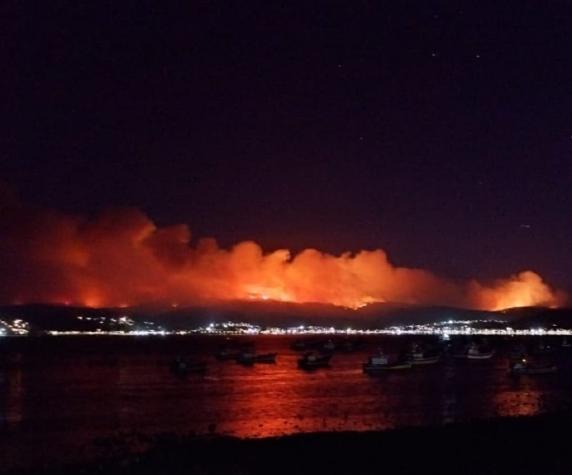 Incendio forestal en Dichato ocurre cerca de sectores poblados
