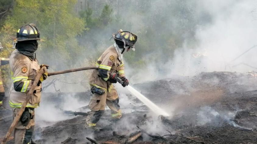 Expertos italianos viajarán a Chile para investigar sobre origen de incendios en la zona centro sur