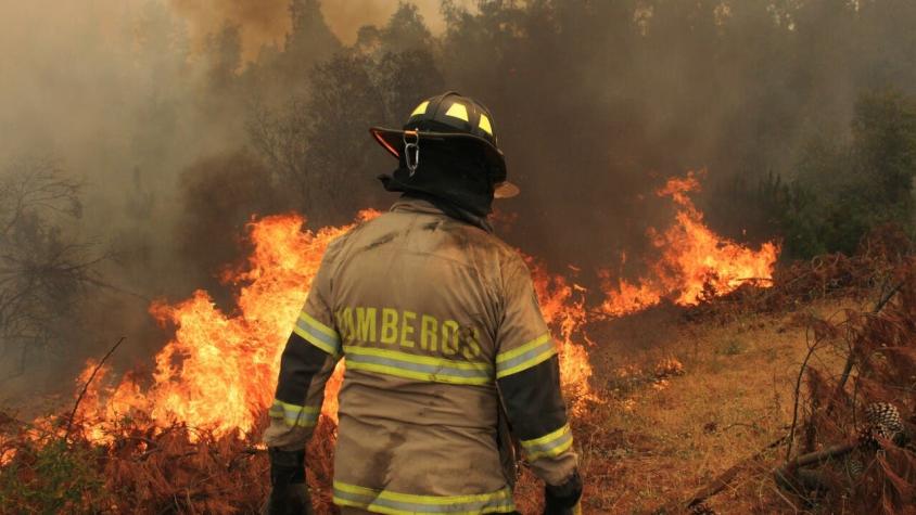 Más de 2 mil voluntarios desplegados: Las cifras de Bomberos en la ola de incendios