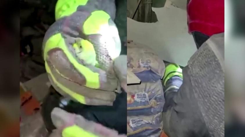 [VIDEO] Rescatan vivo a un pájaro en medio de escombros de edificio en Turquía