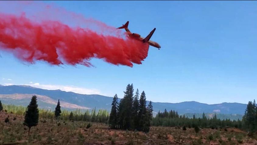 [VIDEO] Aero Tanker se suma al combate de los incendios forestales