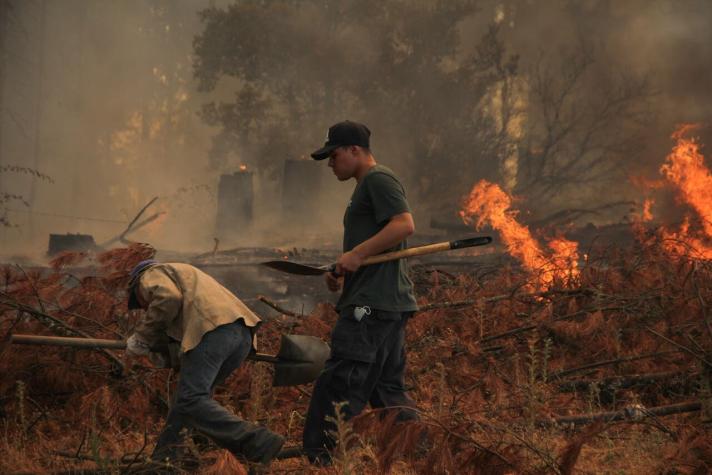 Ministro (s) del Trabajo detalló las 13 medidas del Gobierno para ayudar a afectados por incendios