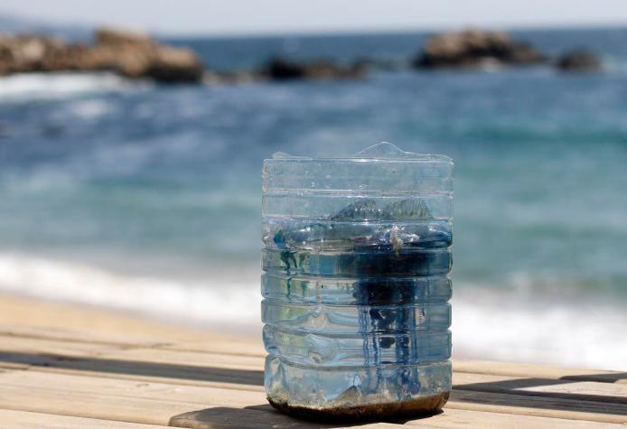 Prohíben ingreso a tres playas de la Región de Coquimbo ante presencia de fragata portuguesa