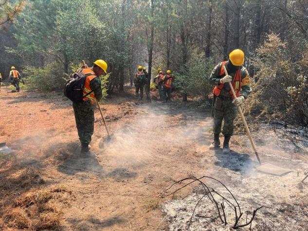 [VIDEO] La destacada labor de brigadistas mexicanos en incendios forestales en Chile