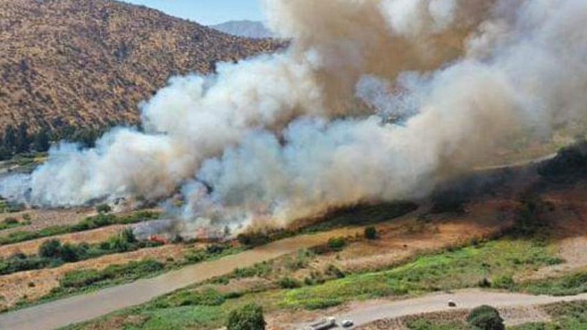 Senapred declaró alerta roja para Peñaflor por incendio forestal