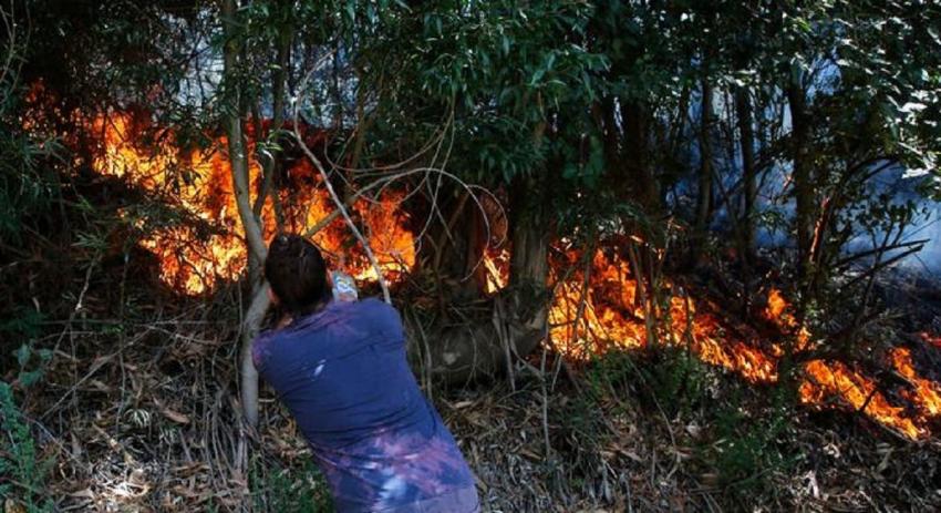 Francia enviará 83 bomberos a Chile