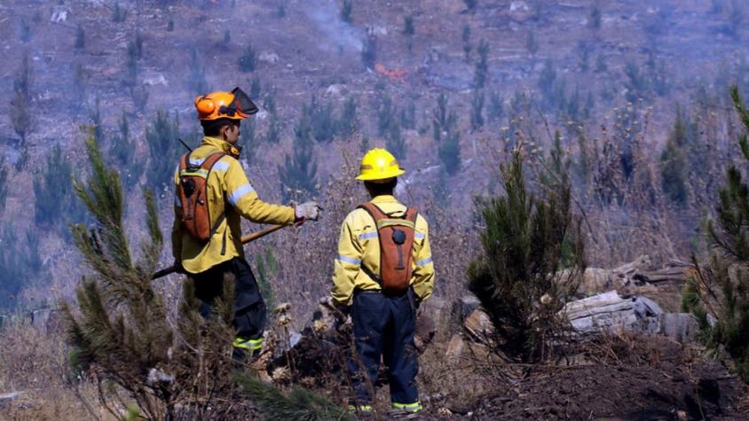 Incendios en zona centro sur: Ministra Tohá confirma muerte de un brigadista forestal