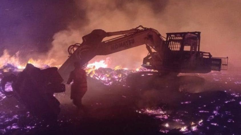 CAM reivindica ataque incendiario en área “fácil de controlar por Bomberos” en medio de catástrofe