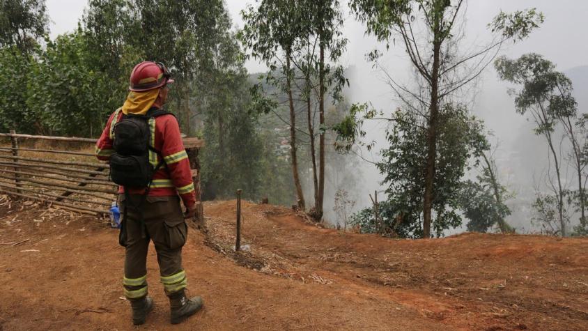 CorreosChile hará envíos sin costo para 25 comunas afectadas por incendios forestales