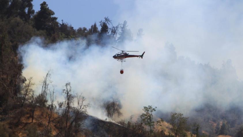 Incendio forestal afectó a sector del Cerro San Cristóbal