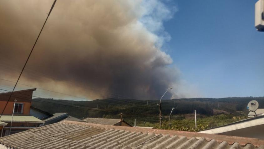 Senapred ordena evacuaciones en sectores de Coronel producto de incendio forestal