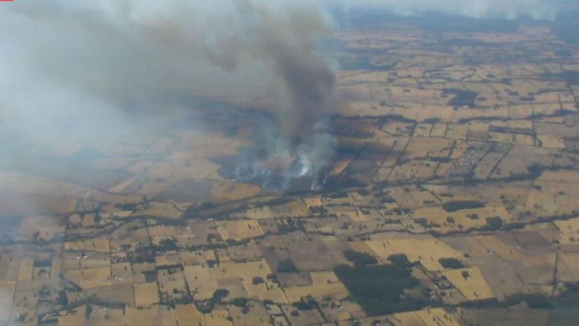 Ordenan evacuación en sector de Victoria por reactivación de incendio forestal