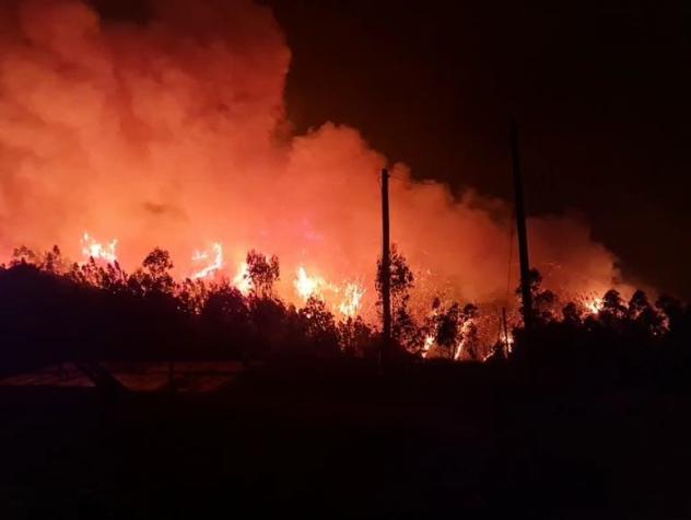 [VIDEO] 15 incendios forestales amenazan cuatro sectores de la Región del Biobío