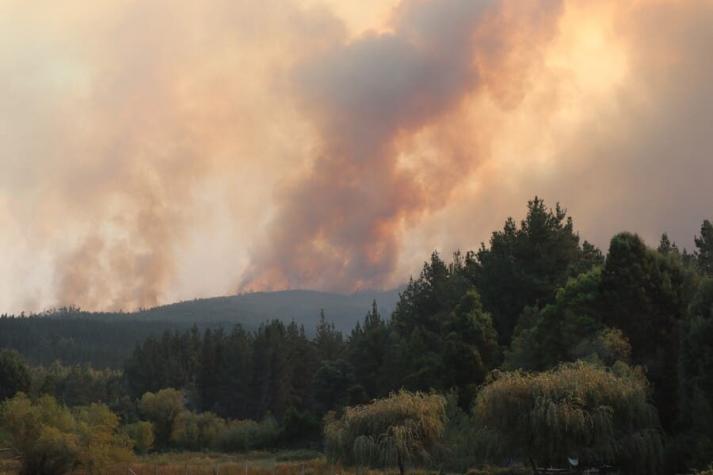 Senapred ordenó evacuación en sectores de Coronel por incendio forestal