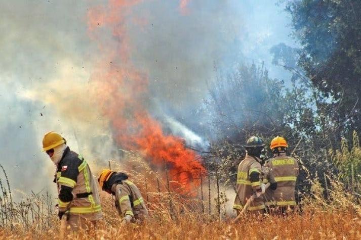 CMPC estima en más de 22.500 hectáreas afectadas por incendios y calcula impacto de US$56 millones