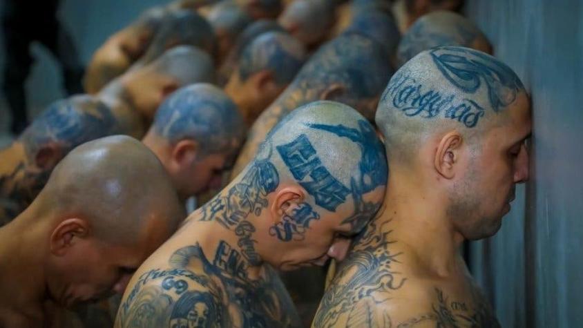 Las impresionantes fotografías de los miles de presos llegando a la megacárcel de El Salvador