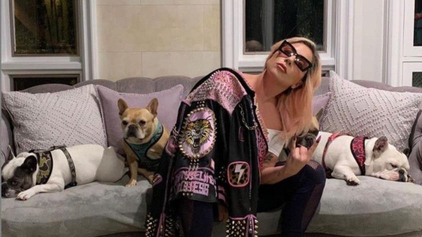 La insólita denuncia que pide una de las involucradas en el robo de los perros de Lady Gaga
