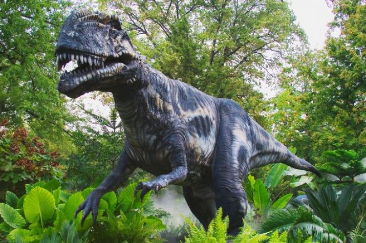 “Megalosaurio”: Encuentran huella en Inglaterra de hace 166 millones de años