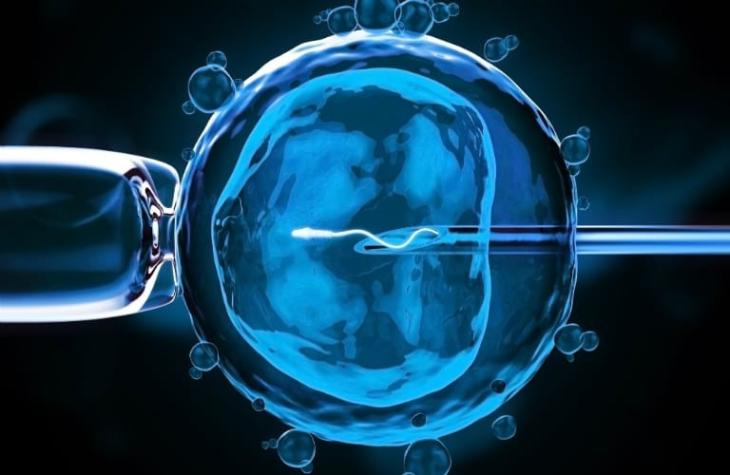 Insólito: Tuvieron un hijo por fecundación in vitro y le implantaron el embrión equivocado