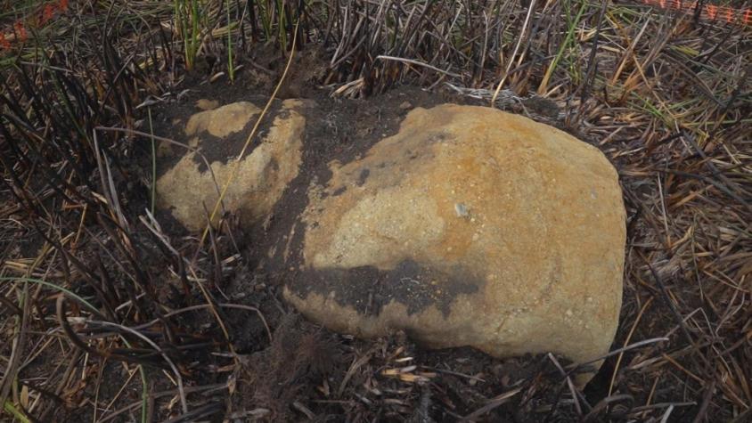 [VIDEO] Inédito hallazgo arqueológico: Descubren nuevo moai en Rapa Nui