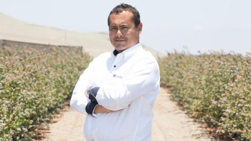 El hombre que convirtió a Perú en el mayor exportador de una fruta que apenas existía en el país