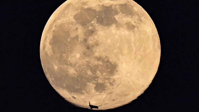 Luna llena: cómo ver el evento astronómico de este martes (y por qué se le dice Luna de Gusano)