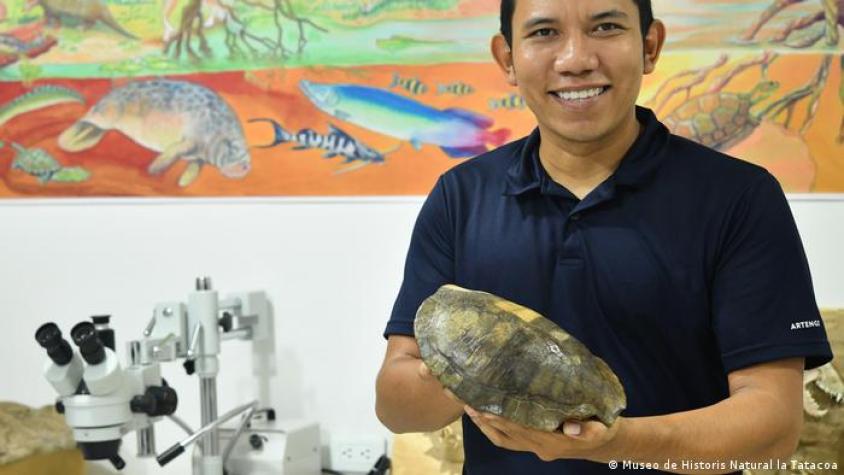 Descubren en Colombia el fósil de una especie de tortuga nunca antes vista de hace 13 millones de años